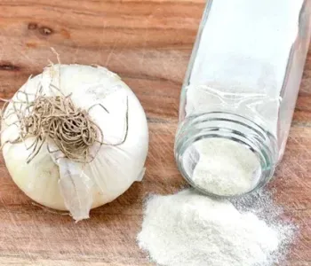 White-Onion-Powder-2