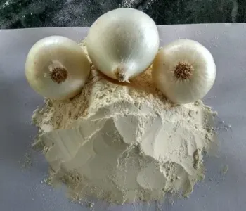 White-Onion-Powder_1
