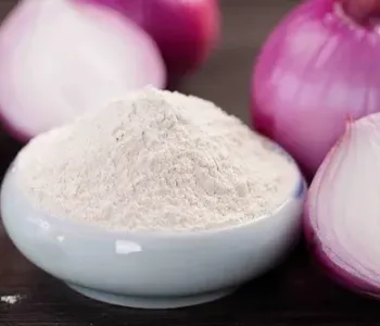 onion-powder-500x500