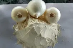White-Onion-Powder_1