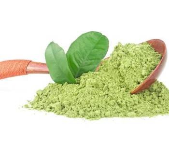 Wooden spoon with powdered matcha green tea and fresh tea leaves, white background.
