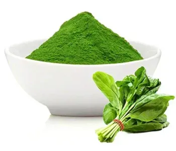 Spinach-Powder-3