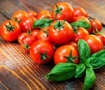 Cherry tomatoes and basil on wooden background