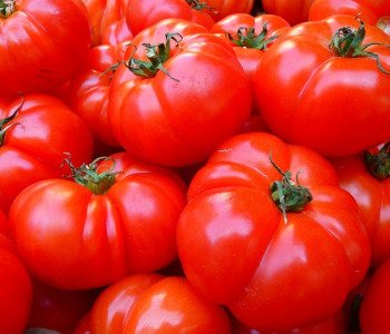 Tomato-7