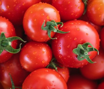 Tomato-8