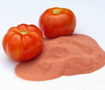 Tomato powder with tomatoes isolated on white background