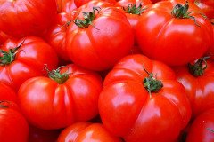 Tomato-7