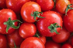 Tomato-8