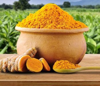turmericpowder_1