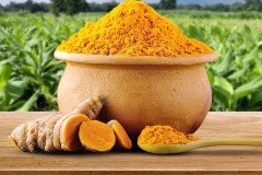 turmericpowder_1
